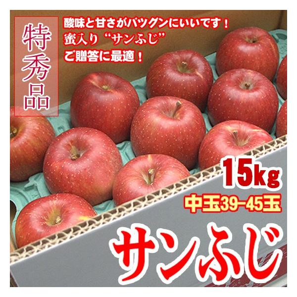 Tӂ Y 15kg  G 39-45 t[cMtg