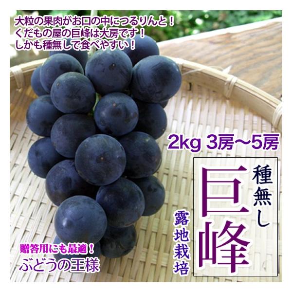 種無し巨峰 2kg3-5房 長野県産 レアぶどう 贈り物に ギフト 送料無料