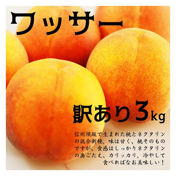 ❤︎ キズあり（小さめ含む）ワッサー 12㎏ ❤︎ キズあり（小さめ含む）ワッサー 12