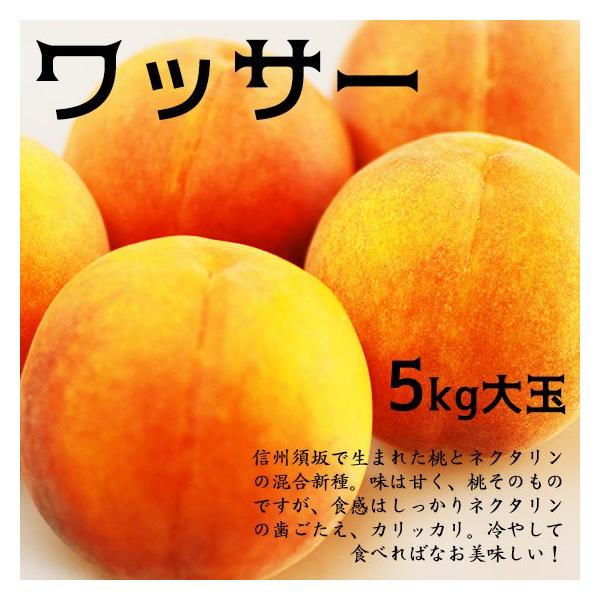 新鮮な桃 5キロ葉付き YJ PEACH FARM ワクワク桃オンラインショップ