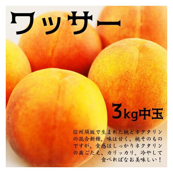 ワッサー 中玉3kg 桃とネクタリンの自然交配 いいとこ取りの果実です