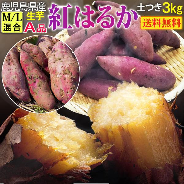 さつまいも 紅はるか A品 生芋M/Lサイズ混合 130g〜300g土つき さつまいも 紅はるか A品 生芋M/Lサイズ混合 130g〜300g土つき