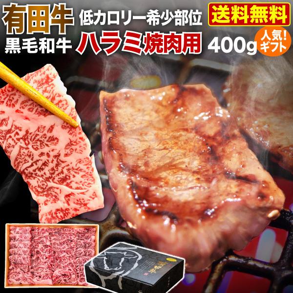 牛肉 ハラミ 宮崎の人気商品・通販・