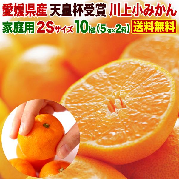みかん 送料無料 小玉 愛媛 家庭用 早生 Jaにしうわ川上共選 天皇杯受賞 川上小玉みかん 小蜜柑 2sサイズ 7 5kg 稀少品 果物 フルーツ 産地直送 J常 Komikan03 くいしんぼうドットコム 通販 Yahoo ショッピング