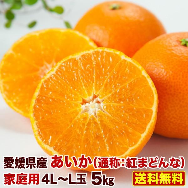 早期予約 11月末 みかん 愛媛県産 愛果 あいか ご家庭用 5kg 4L 早期予約 11月末 みかん 愛媛県産 愛果 あいか ご家庭用 5kg 4L