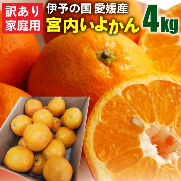 宮内いよかん ご自宅用 愛媛県産 伊予柑 訳あり ご家庭用 4kg L 4lサイズ 混合 送料無料 J常 Miyo04 くいしんぼうドットコム 通販 Yahoo ショッピング