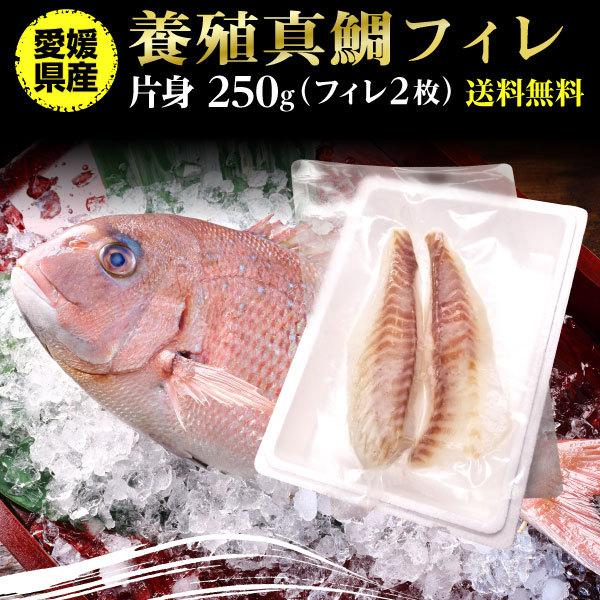鯛 刺身 フィレ マダイ 真鯛 フィレ 皮無し 2枚 250g 送料無料 海鮮 魚介 冷凍 真空パック Y凍 T Fillet01 くいしんぼうドットコム 通販 Yahoo ショッピング