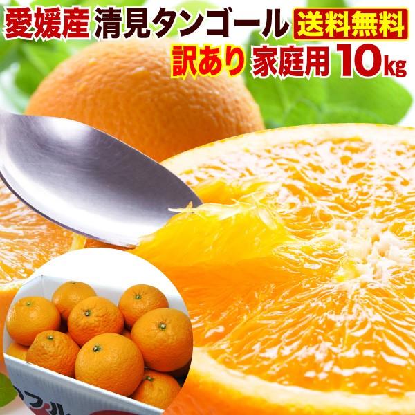 みかん 清見タンゴール 愛媛県産 きよみ 10kg ご家庭用ちょっぴり訳あり 送料無料 産直 J常 W Kiyomi010 くいしんぼうドットコム 通販 Yahoo ショッピング
