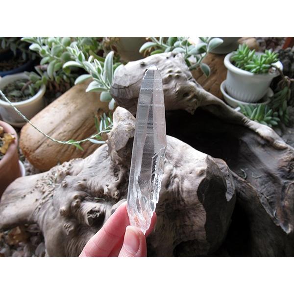 ブラジル バイーア州産 レムリアンシードクリスタル 原石 | 天然石専門