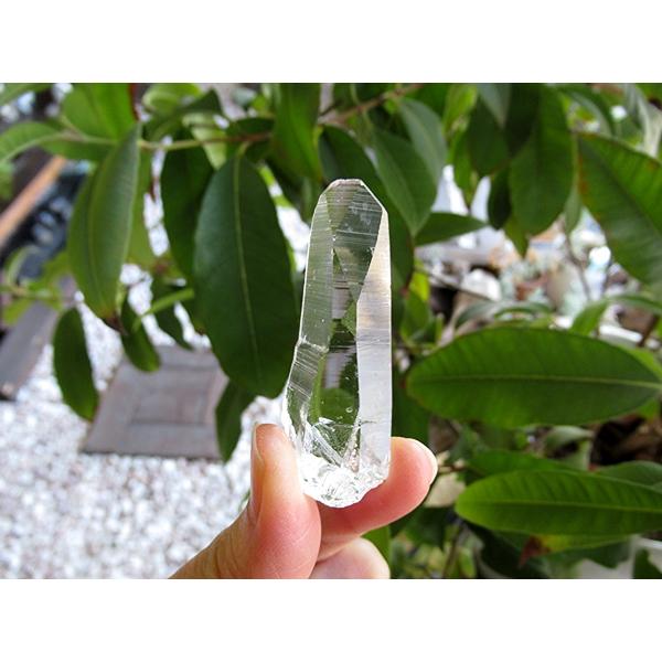 コロンビア産 レムリアンシードクリスタル 最高品質 水晶 原石 | 天然石専門店 【鬮石】 イシス タイムリンク レコードキーパー