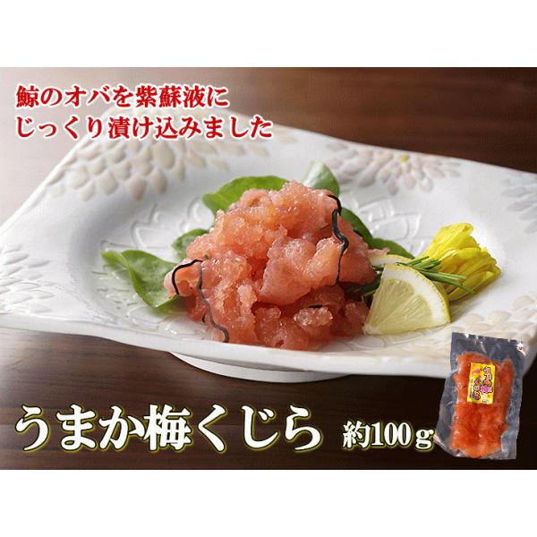 鯨肉の人気商品・通販・価格比較 - 価格.com 鯨肉の人気商品・通販・価格比較 - 価格.com