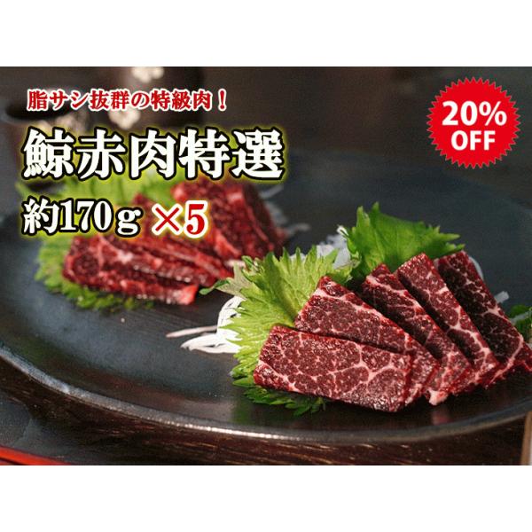 쏤X kmY j^~ ԓI 170×5 3911-5 ~  NW hg  hg H Xe[L