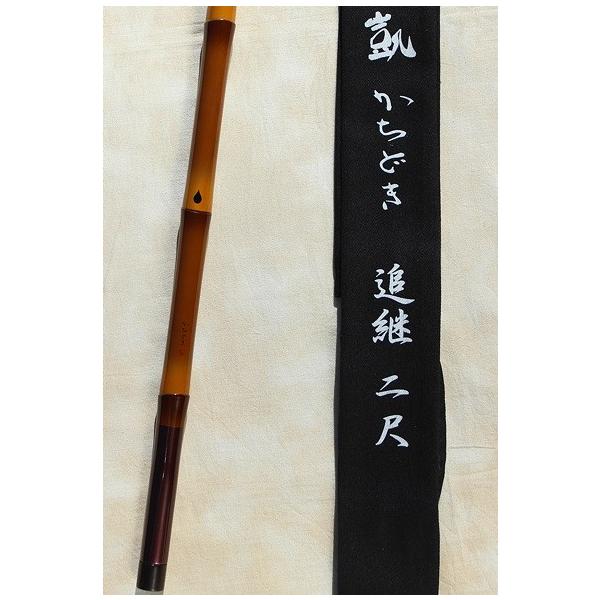 M@J[{Ɗ|@ʑI߂Q{p@ǂp