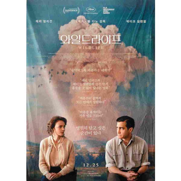 韓国チラシ「WILDLIFE / ワイルドライフ」　（商品コード：k6879）
