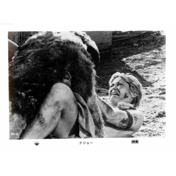 映画スチール292 「クジョー」10枚セット