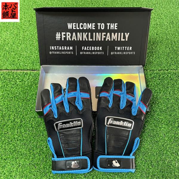 tNyFRANKLINz胂f@CFX CHROME@VARIOSV[Y tNJX^@ubNu[/ubN 싅@obeBOOu #1001