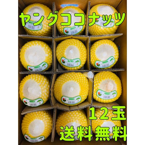 【品名】ヤングココナッツ【内容量】12個入り【原産国】ベトナム※入荷によりパッケージが変わることがございます。