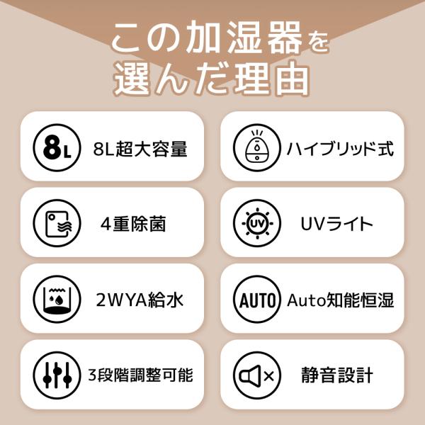 kukuya_d20_2_d_20241023142148