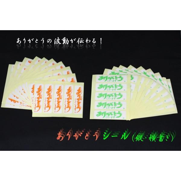 IWii 肪ƂV[ c×50 ×50 v100s[X