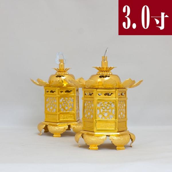 _O A~L 3.0 a16.5cm 1