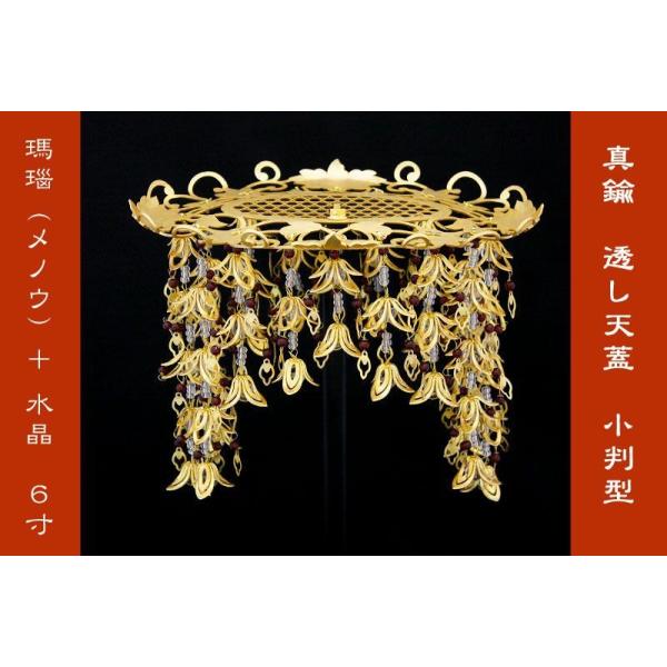 ^J VW ^ VRΎd  mE orX TS 21cm