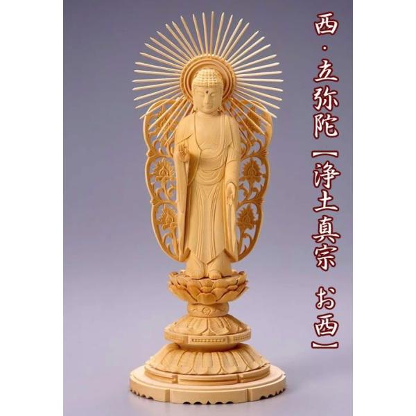  ؐ ۑ 5.0 F297mm  ؒ  y^@ {莛h JeSF280mm`299mm