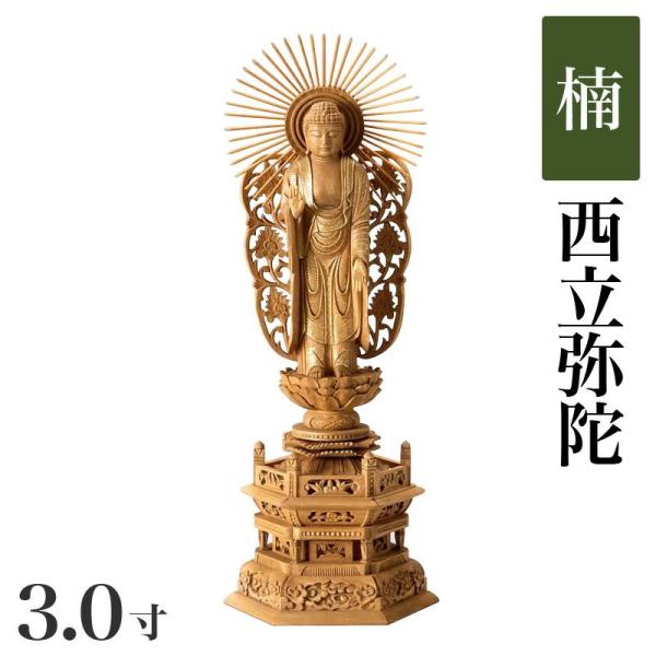  퐻 Zp 3.0 F228mm  ؒ  y^@ {莛h JeSF200mm`249mm