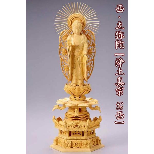  cQ ZpP} 4.5 F335mm  ؒ  y^@ {莛h JeSF330mm`349mm