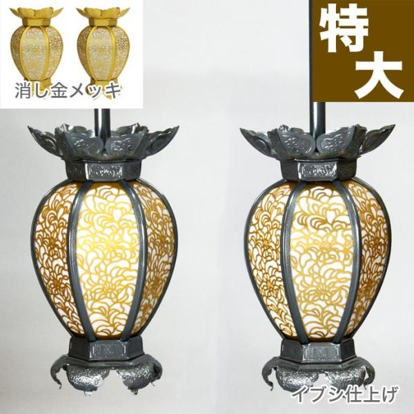 ݓ ݂蓔U A~ Ėڌ^  bLorCuVdグ  a12cm 1