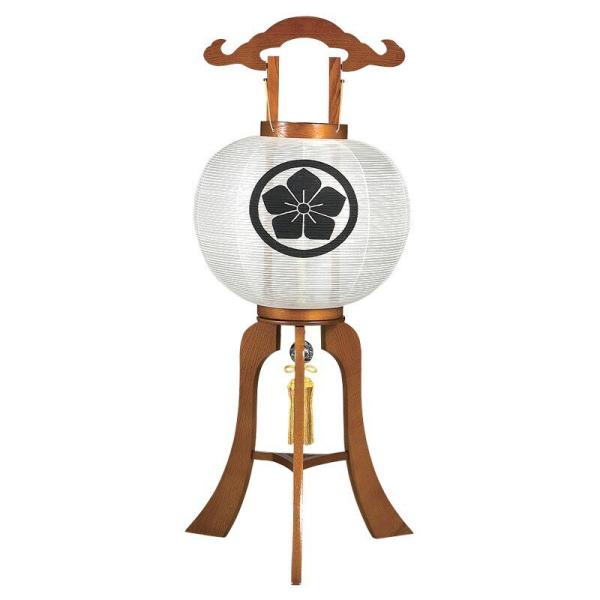 ~ VRؖ|hPLF No.062 11 s 1  Ɩ  ~傤 ~  ~ 򕌒 { Y