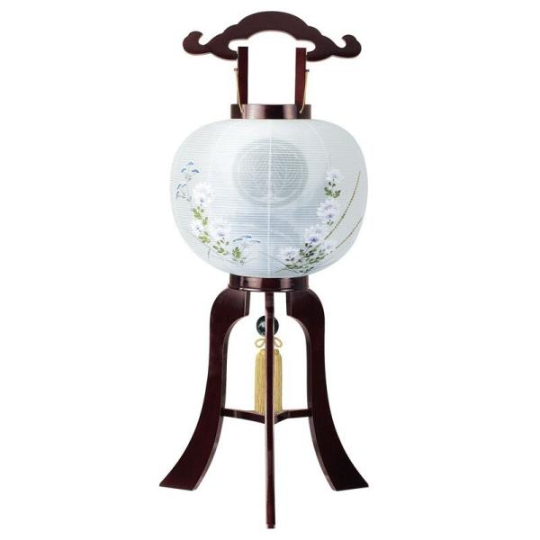 ~ VRؖ|huEF No.065 Ɩ 11 s 1  }Olbg Od ~傤 ~  ~ 򕌒 { Y