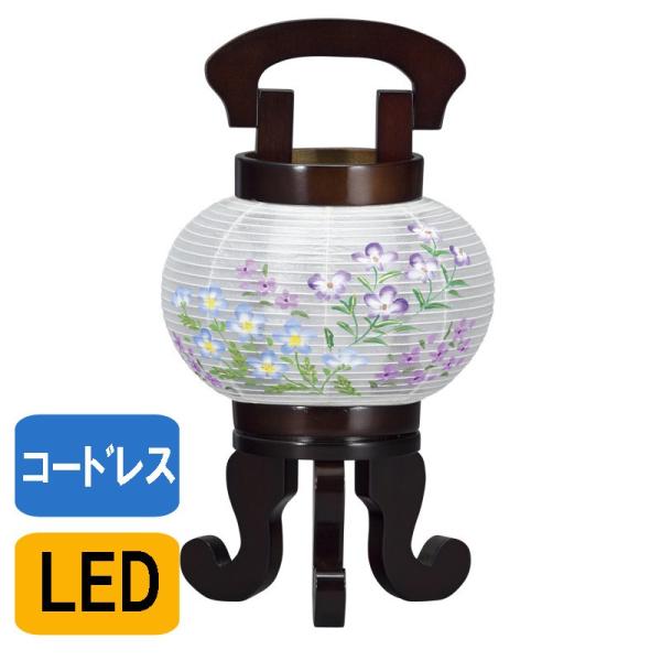 ~ _ ؗ  ؐ uEF No.5821 s R[hX LED }Olbgg  ~傤 ~  ~