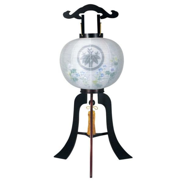 ~ h No.586 12 s 1  Ɩ }OlbgE^b`g Od ~傤 ~  ~ 򕌒 { Y