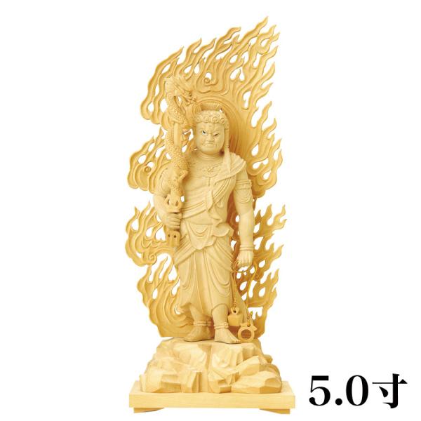   {ѐA(cQ)  s  㒤 5.0 iF280mmj ؒ ̔ ʔ ^@  d 