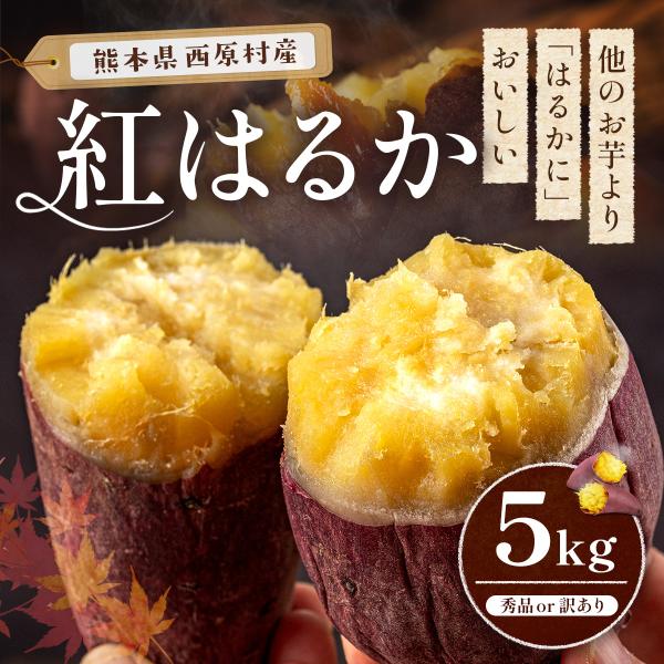 ■商品説明：さつまいも作りに最適な環境で育てられた、熊本県の阿蘇郡西原村産の紅はるか。甘みが強く、なめらかでクリーミーな紅はるかをぜひご賞味ください。【焼き芋のつくり方】大きめなので食べやすいサイズにカットして、アルミホイルで包んだら200...