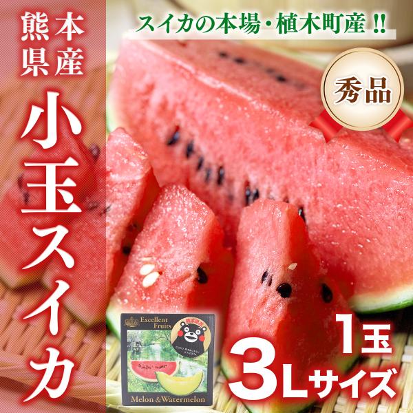 スイカ 熊本産 秀品 小玉スイカ 1-2玉 3L お中元 ひとりじめ スイカ 熊本産 秀品 小玉スイカ 1-2玉 3L お中元 ひとりじめ
