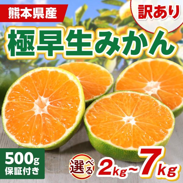 みかん 訳あり 極早生 熊本県産 2kg 5kg 7kg 500g保証 大容量 送料無料 先行予約 常温便