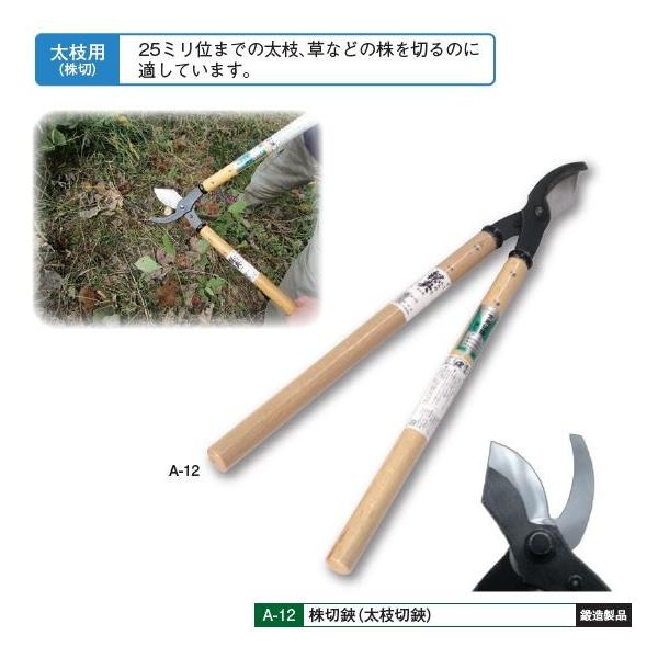 五十嵐刃物工業 鋼典 かねのり 本職用高級 株切鋏（太枝切鋏）A-12 刃