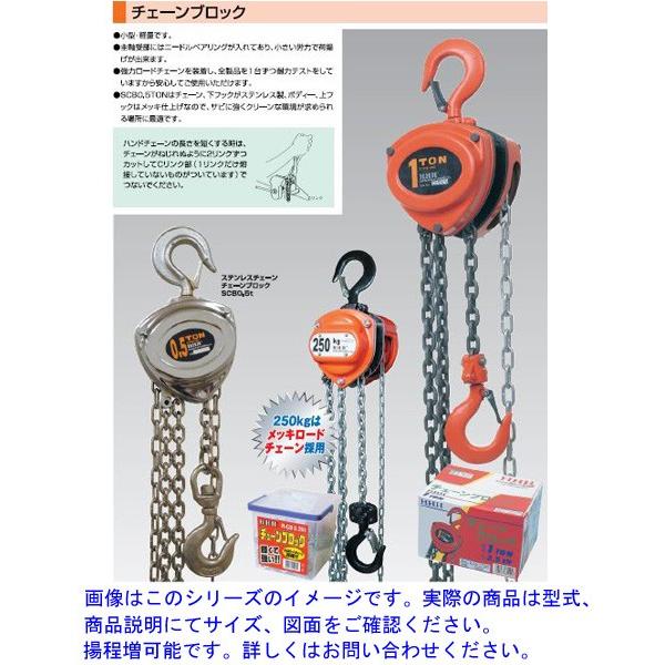 スリーエッチ(H.H.H.)型式 R-CB 3TON チェーンブロック 揚量 3 スリーエッチ(H.H.H.)型式 R-CB 3TON チェーンブロック 揚量 3