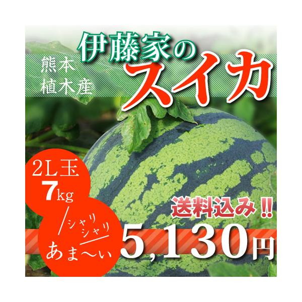 熊本県　植木町産　空宙スイカ　2L2玉セット 熊本県 植木町産 空宙スイカ 2L2玉セット - メルカリ