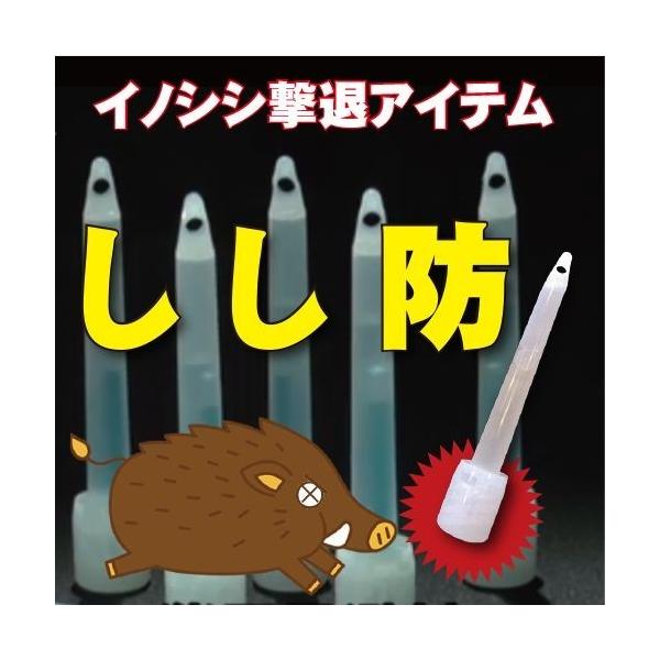 h@CmVV΍@ފ܁@100{Zbg