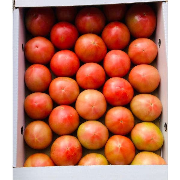 ■商品名　熊本県産 トマト■産地　熊本県産■内容量　箱込み 約4kg以上　※大きさによって、重さは多少前後します。■サイズ　基本は主にMサイズですが、不揃いになります。※玉数は大きさによって異なります。■【商品コード】002■【品質】【 訳...