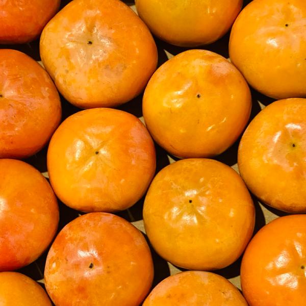 ※※ご注意事項富有柿は特に、ヘタの裏側にはホコリが溜まりやすく、時にはカビが発生することもあります。 また柿の皮にはタンニンという成分が多く含まれ、酸化して黒変することもよくあり、黒い墨みたいのが付着する場合ございます。ご理解頂きました方の...