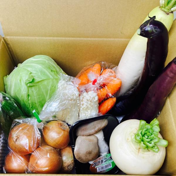 ★【産地】：主に九州 熊本産(入荷が困難な場合はその他の産地になる品目がある場合もございます。）★【内容量】：熊本県産を中心とした野菜10品目★【野菜の種類】キャベツ レタス 玉ねぎ にんじん きゅうり 白菜 ジャガイモ かぼちゃ ピーマン...