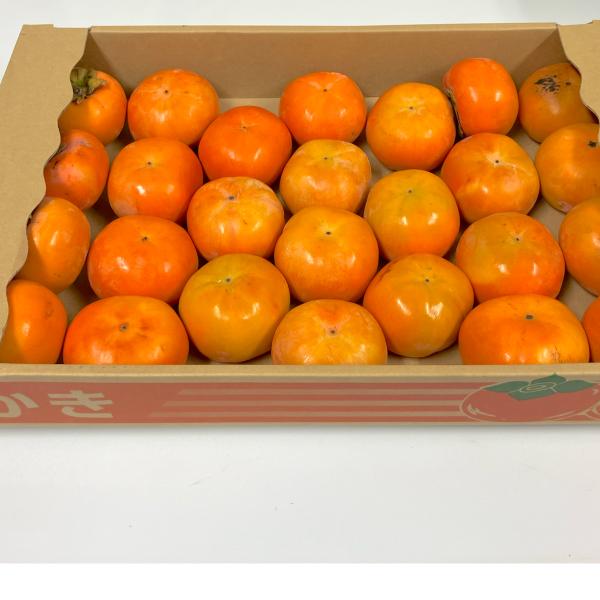 ※※ご注意事項富有柿は特に、ヘタの裏側にはホコリが溜まりやすく、時にはカビが発生することもあります。 また柿の皮にはタンニンという成分が多く含まれ、酸化して黒変することもよくあり、黒い墨みたいのが付着する場合ございます。ご理解頂きました方の...