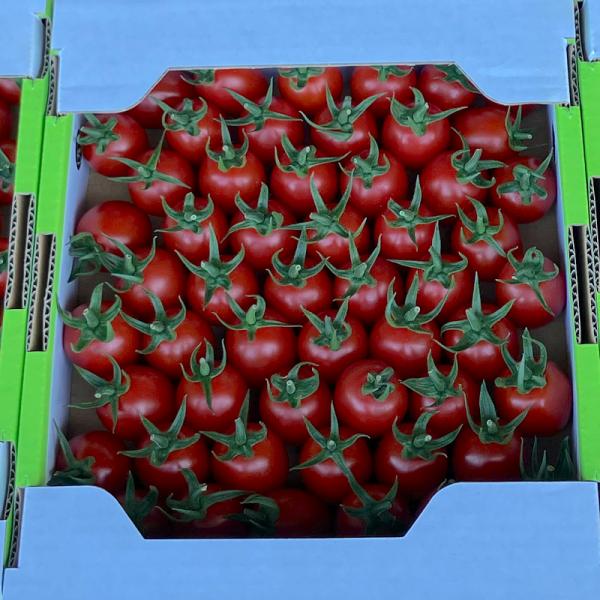 【優品 訳あり品】 主に一般向けとしてディスカウントスーパーなどに流通する場合が多く、ご家庭用になります。サイズの不揃いが多く、表皮に若干のシミや傷や黒点、変形、変色のある場合がございます。 ※容姿等に拘りのある方や品質をお求めの方はご購入...