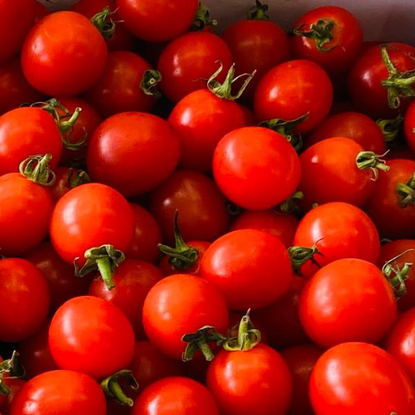 ●商品名:九州 熊本産 ミニトマト ●産地:熊本県 （入荷が困難な場合は九州産になります。）●規格:サイズ　：2S〜2L 　サイズは不揃い●重量:約2kg (箱込み）●商品コード:002●品質：規格外品●配送:常温便●配送会社:ヤマト運輸も...