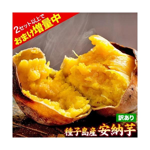 さつまいも 訳あり 安納芋 種子島産 1.5kg 送料無料 2セットで1kgおまけ増量 スイーツ サイズ不揃い 《11月上旬-11月末頃より発送予定》 :annouimo-05:くまもと風土 ヤフー店 - 通販 - Yahoo!ショッピング さつまいも 訳あり 安納芋 種子島産 1.5kg 送料無料 2セットで1kgおまけ増量 スイーツ サイズ不揃い 《11月上旬-11月末頃より発送予定》 :annouimo-05:くまもと風土 ヤフー店 - 通販 - Yahoo!ショッピング