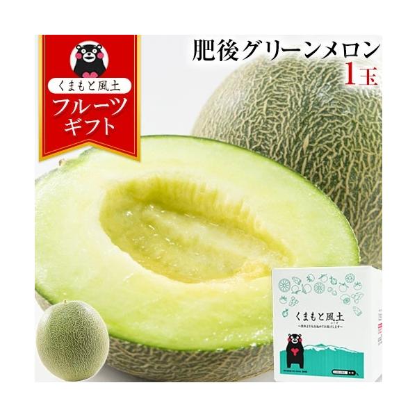 ギフト プレゼント 肥後グリーンメロン 1玉 秀品 2Lサイズ 熊本産 1玉