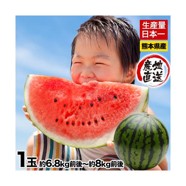熊本県産 フルーツ - スイカの人気商品・通販・価格比較 - 価格.com